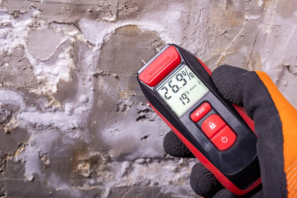 Best Best Mold Removal Companies  in Santa Clara, NM