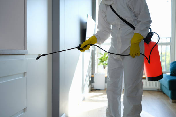 Best Emergency Mold Removal  in Santa Clara, NM