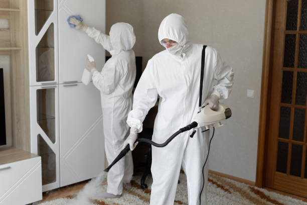 Best Attic Mold Removal  in Santa Clara, NM