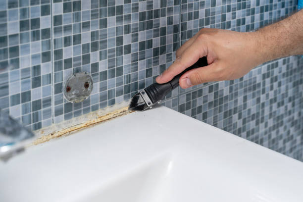 Best Office Mold Removal Services  in Santa Clara, NM