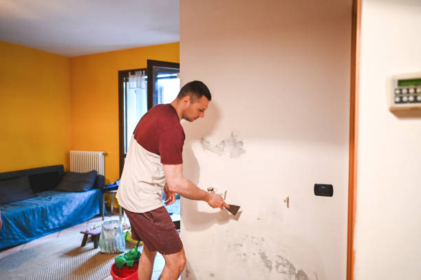 Best Mold Damage Repair  in Santa Clara, NM